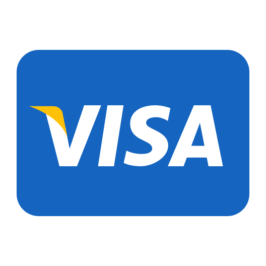 icon payment visa